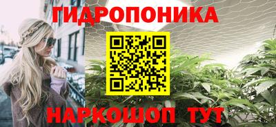 ГАЛЛЮЦИНОГЕННЫЕ ГРИБЫ Гатчина