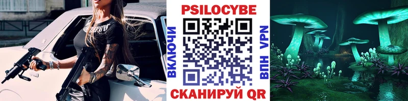 Псилоцибиновые грибы Cubensis  Новочебоксарск 
